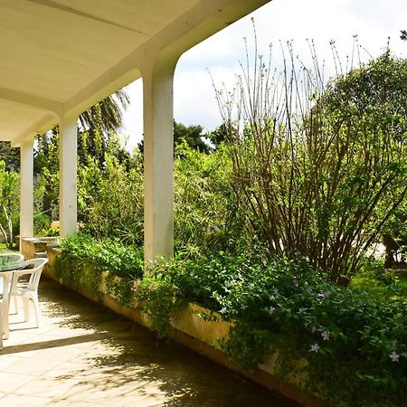 La Cecia - Casa Vacanze Nella Campagna Salentina กาวัลลีโน ดิ เลชเช ภายนอก รูปภาพ