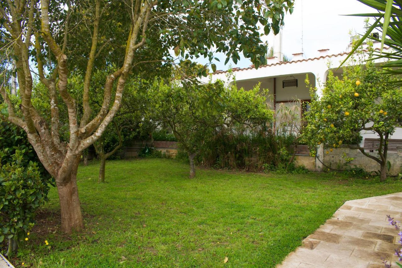 La Cecia - Casa Vacanze Nella Campagna Salentina กาวัลลีโน ดิ เลชเช ภายนอก รูปภาพ