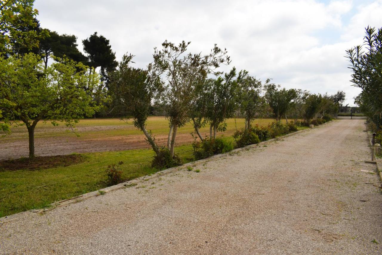 La Cecia - Casa Vacanze Nella Campagna Salentina กาวัลลีโน ดิ เลชเช ภายนอก รูปภาพ